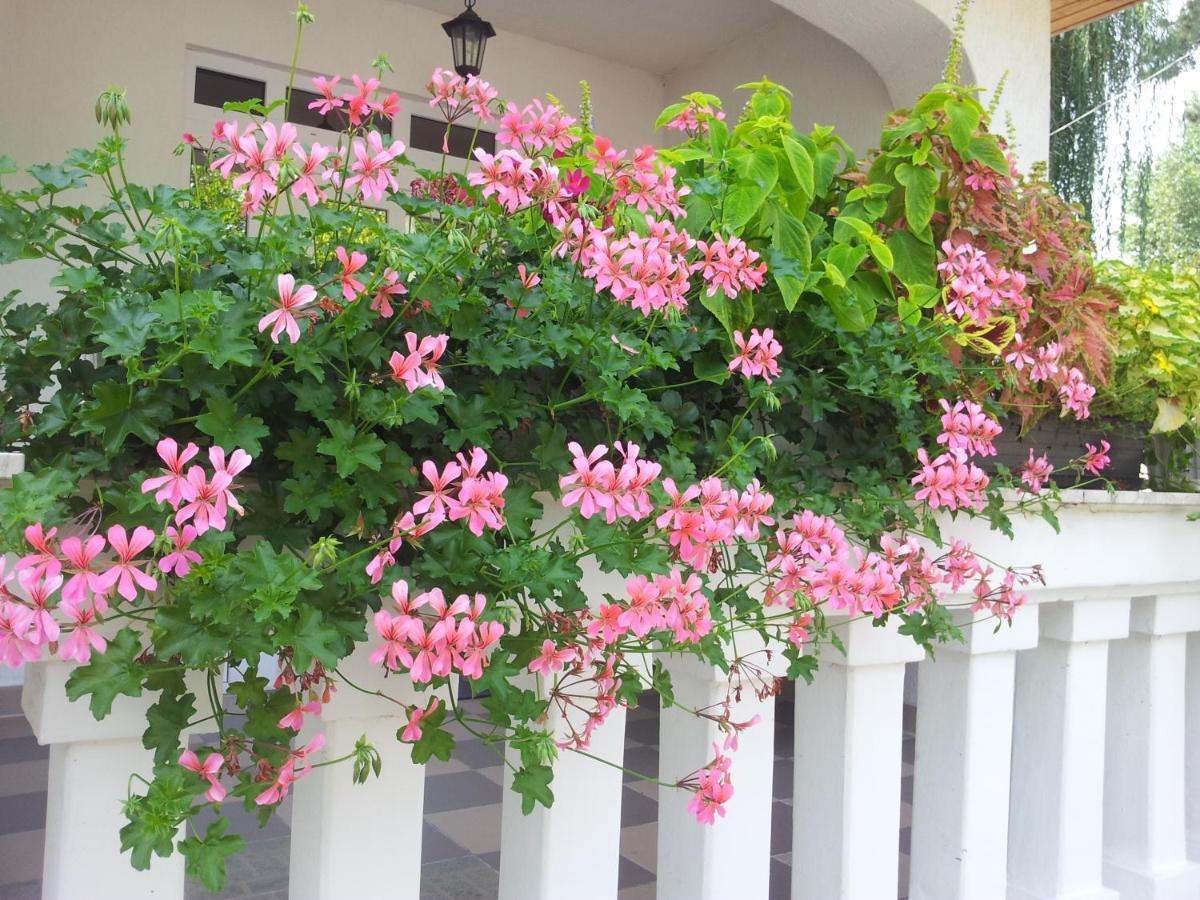 Anna Villa Balatonlelle Exterior photo
